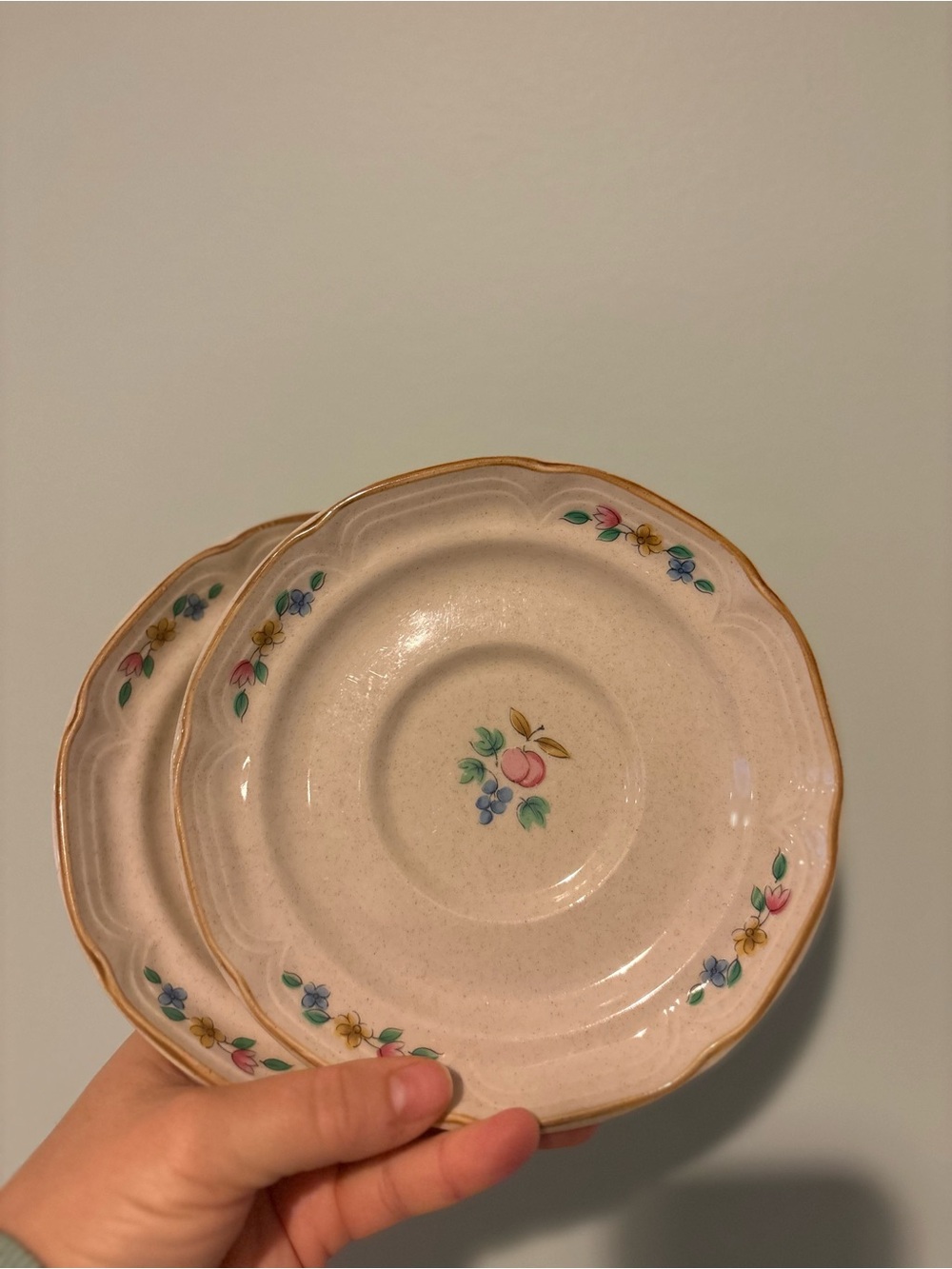 Set of 2 vintage International Stoneware Heartland Saucers